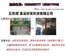 小吃技術(shù)配方轉(zhuǎn)讓 從街頭美味到創(chuàng)業(yè)財(cái)富的指南
